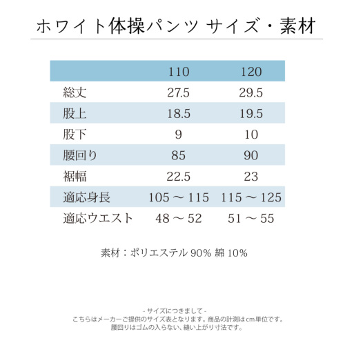 体操服セット V ネック体操服 ホワイト体操パンツ 男の子 女の子 110cm