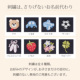���C���摜