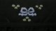 C摜