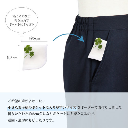2枚セット 日本製泉州タオル 刺繍入り タオルハンカチ 21cm角